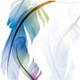 Photoshop